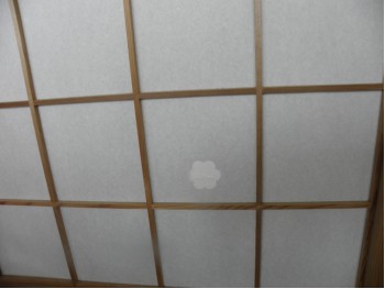 Rispapir, repairset, 10 ark, selvklæb